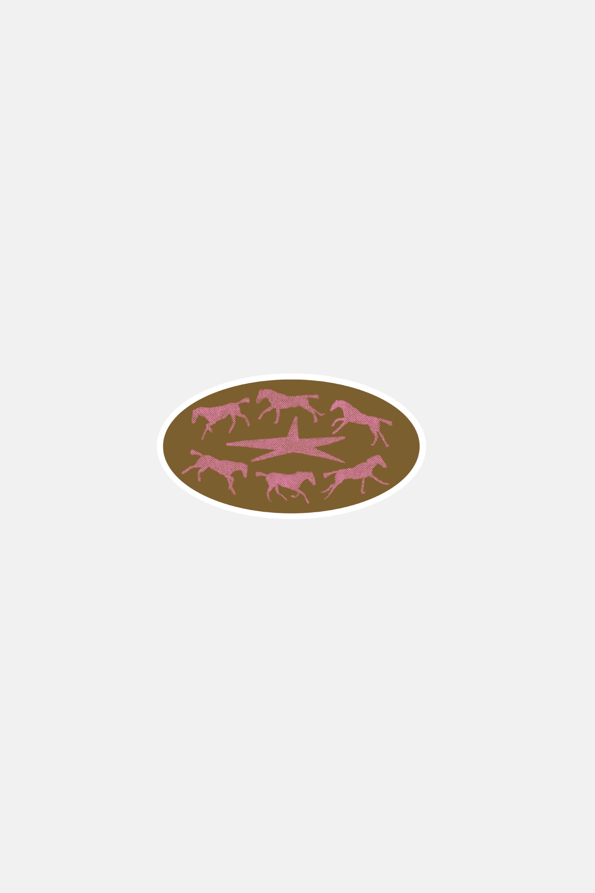 RAGS AF BROWN RUNNING HORSES! STICKER