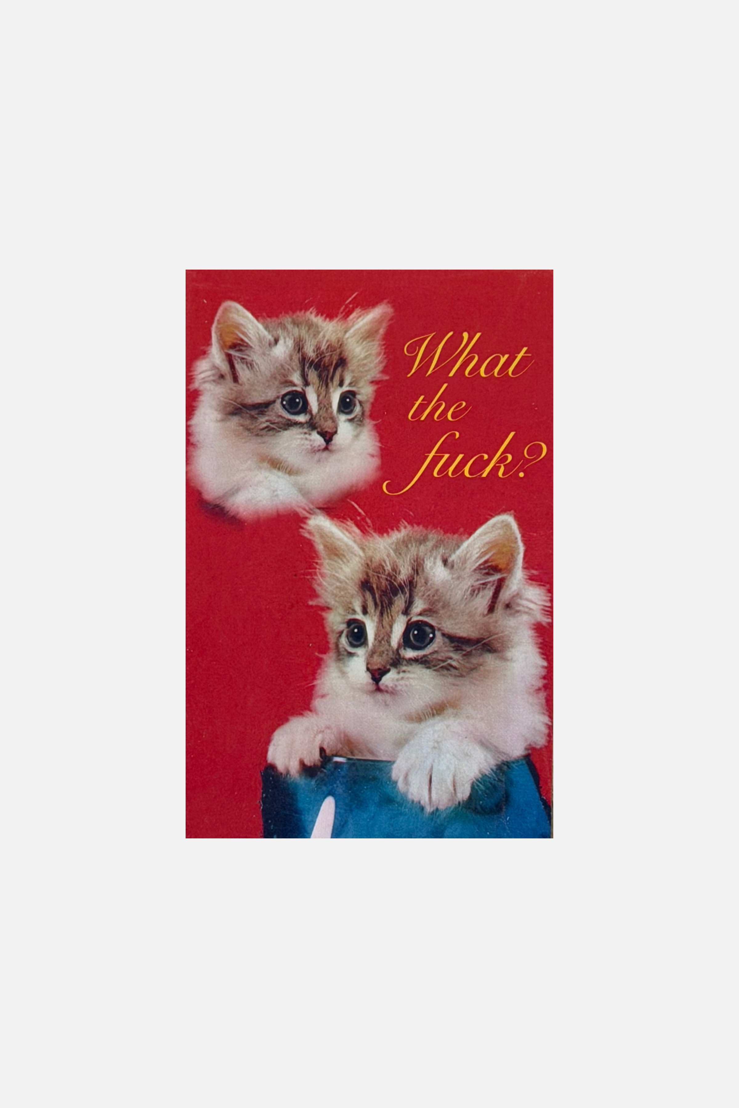 Astral Weekend Postcard What the F*ck? Kitten