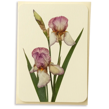 Canonbury Press Iris Greeting Card Birthday Card