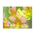 ORCHIDS IN THE GREEN & PINK STICKER | UNLUCKY WISHES