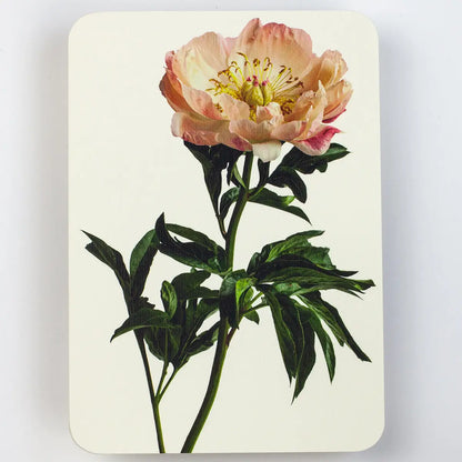 Canonbury Press Peony Greeting Card Birthday Card