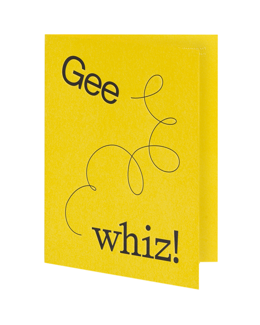 Short Talks Gee Whiz!