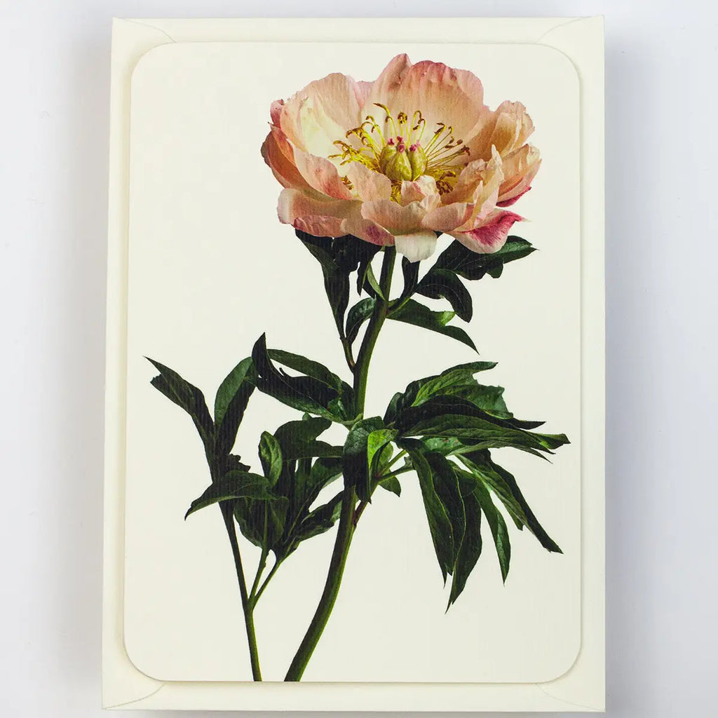 Canonbury Press Peony Greeting Card Birthday Card