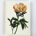 Canonbury Press Peony Greeting Card Birthday Card