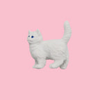 Riley Grae Pocket Cat