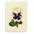 Canonbury Press Pansy V Greeting Card