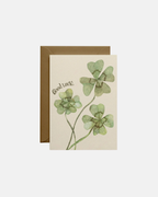 Molly Stredwick Good Luck A6 Greeting Card Four‑Leaf Clover Illustration