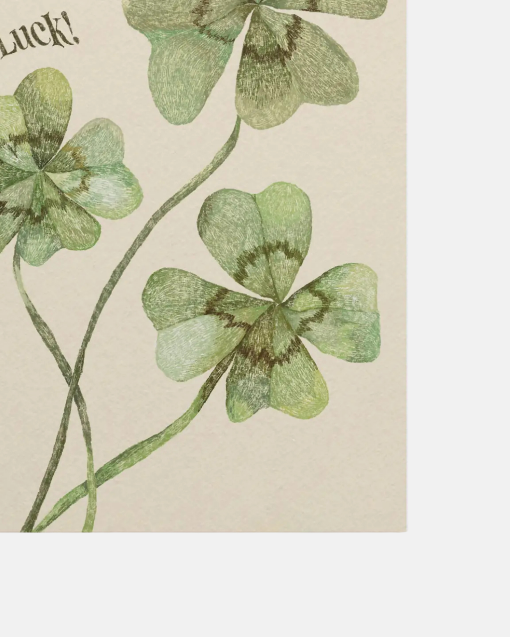 Molly Stredwick Good Luck A6 Greeting Card Four‑Leaf Clover Illustration