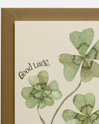Molly Stredwick Good Luck A6 Greeting Card Four‑Leaf Clover Illustration