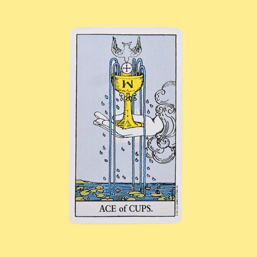 Riley Grae One Card Tarot Reading
