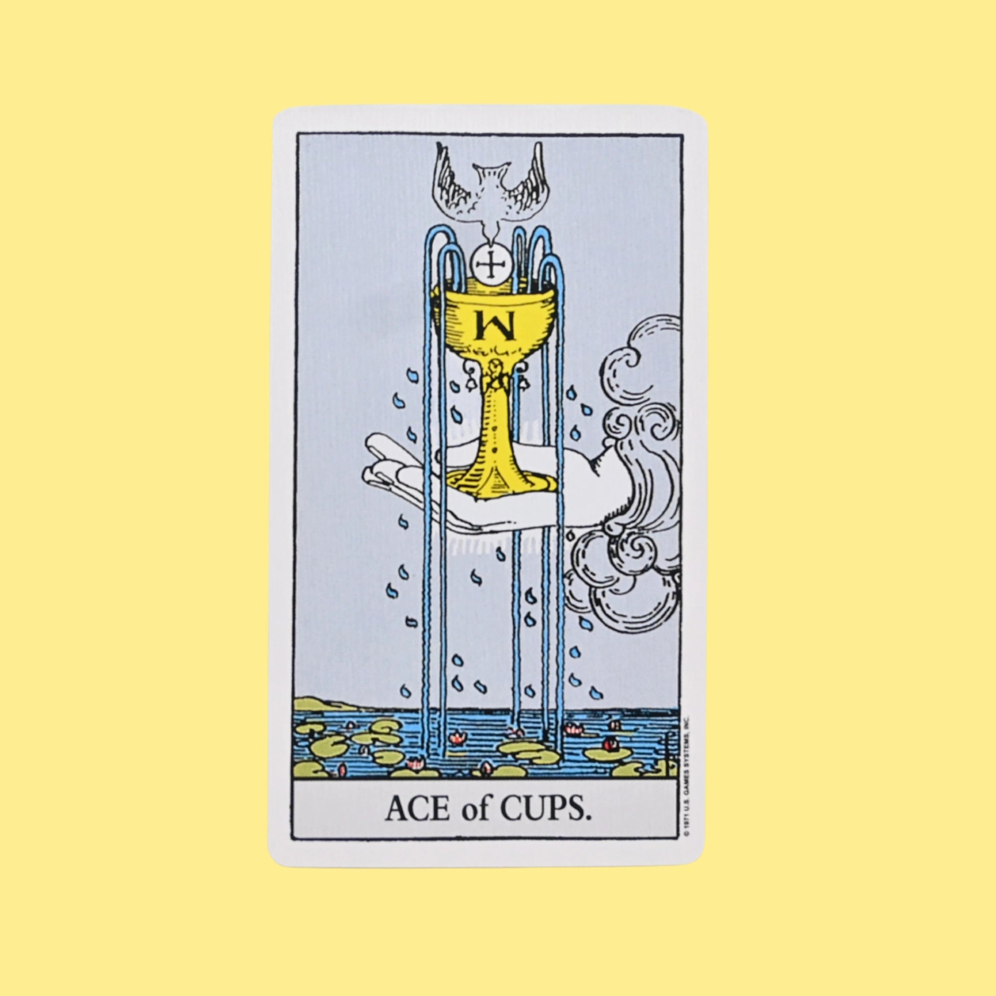 Riley Grae One Card Tarot Reading