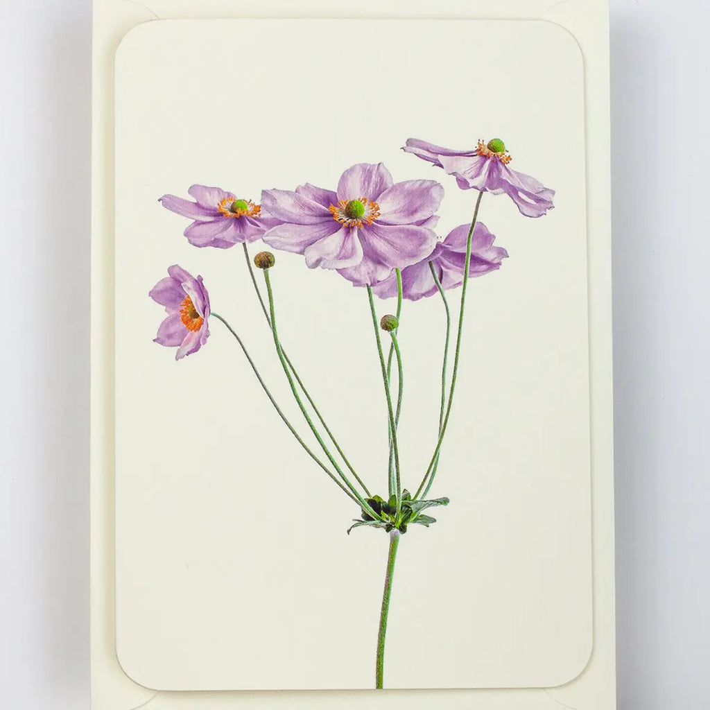 Canonbury Press Anemone Greeting Card Birthday Card