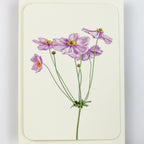 Canonbury Press Anemone Greeting Card Birthday Card