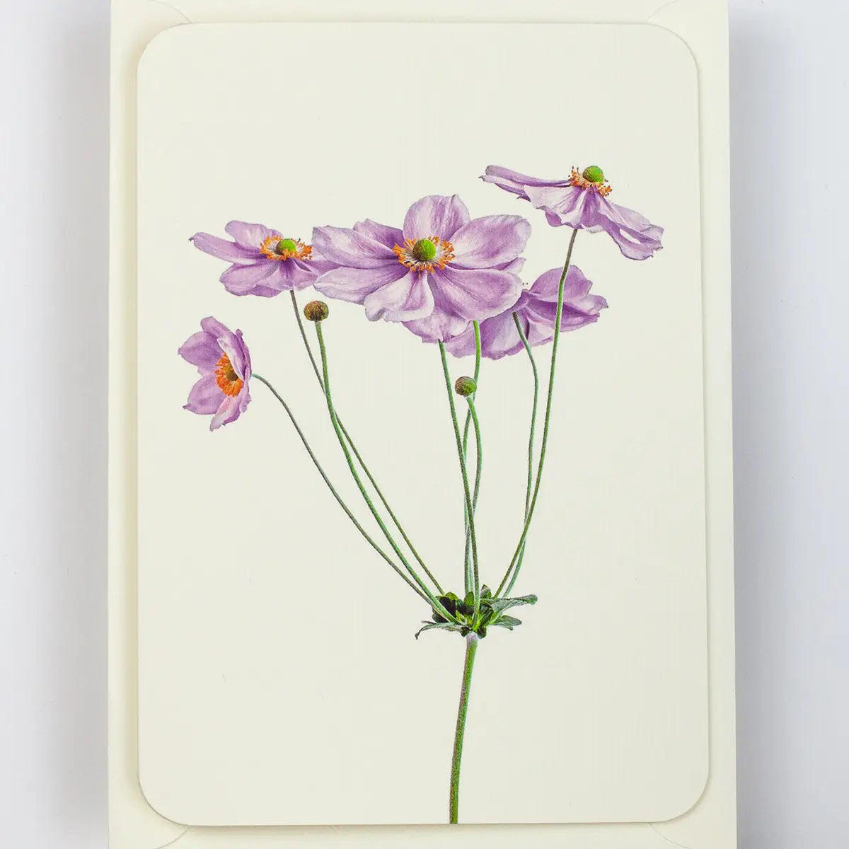 Canonbury Press Anemone Greeting Card Birthday Card