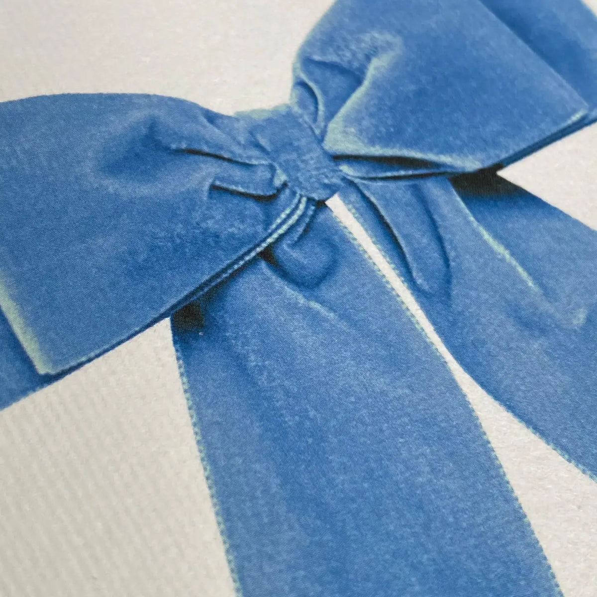 Canonbury Press Baby Blue Velvet Bow Greeting Card