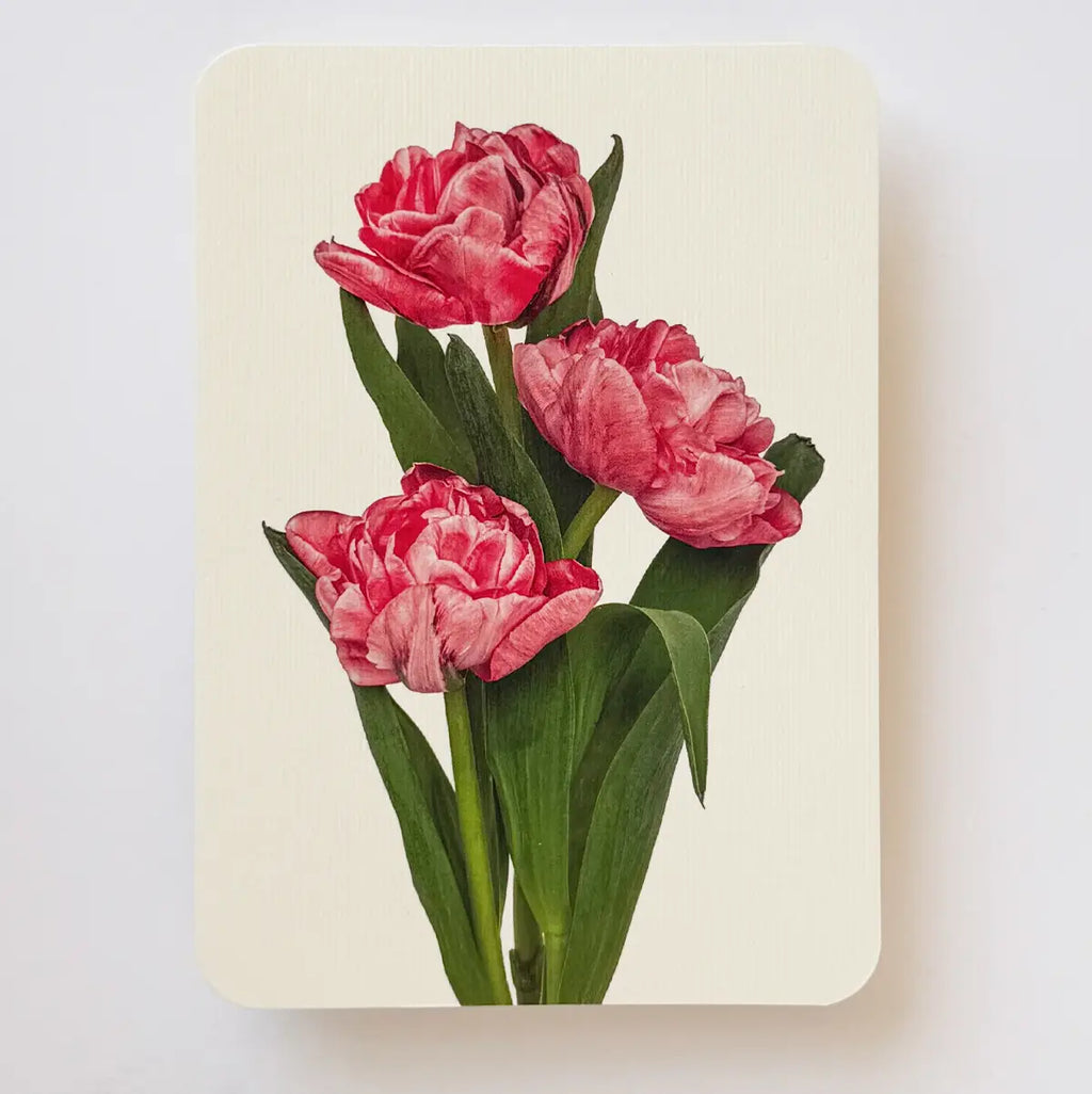 Canonbury Press Pink Tulips Greeting Card