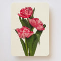 Canonbury Press Pink Tulips Greeting Card