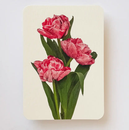 Canonbury Press Pink Tulips Greeting Card