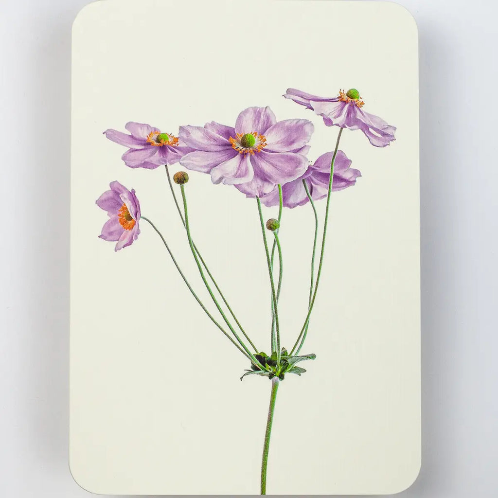 Canonbury Press Anemone Greeting Card Birthday Card