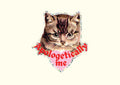 APOLOGETICALLY ME | STICKER