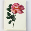 Canonbury Press Pink Rose Greeting Card