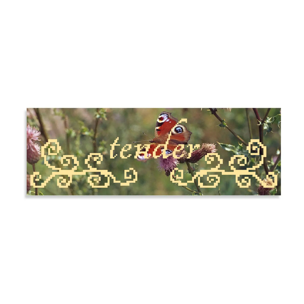 BUMPER STICKERS | UNLUCKY WISHES