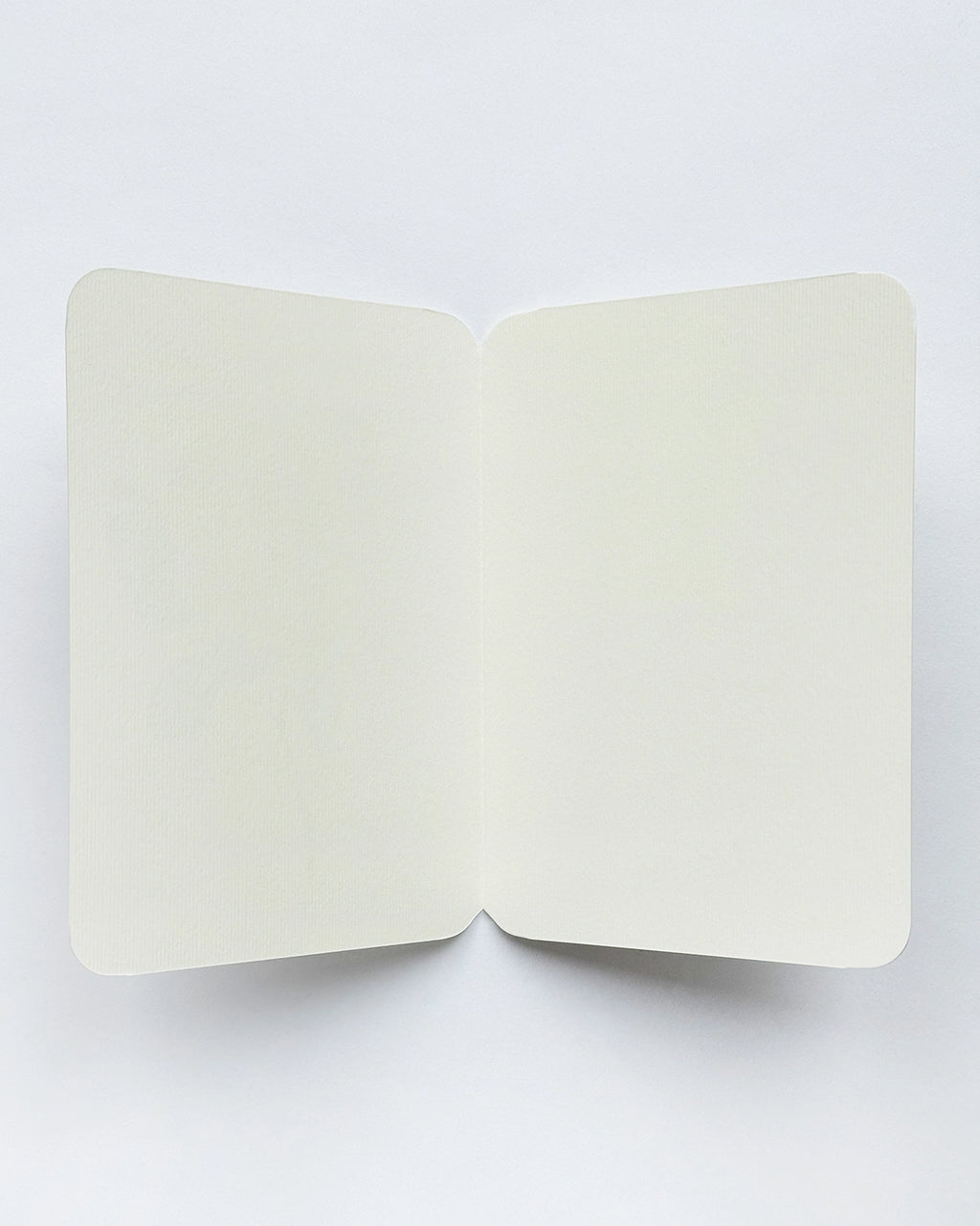 Canonbury Press Anemone Greeting Card Birthday Card