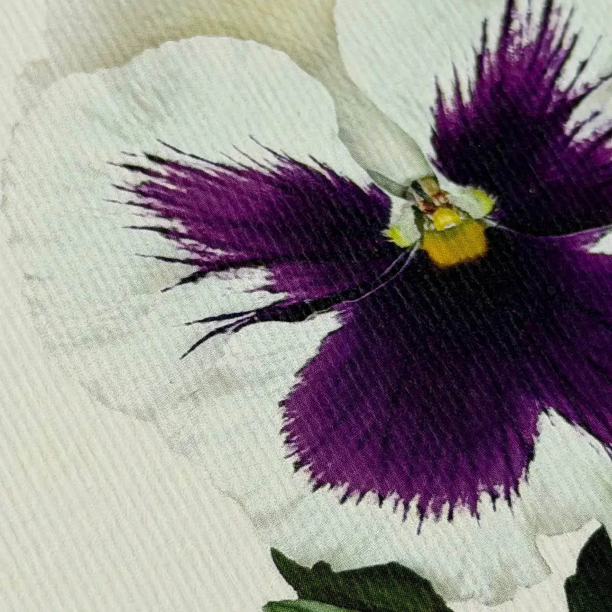 Canonbury Press Pansy V Greeting Card