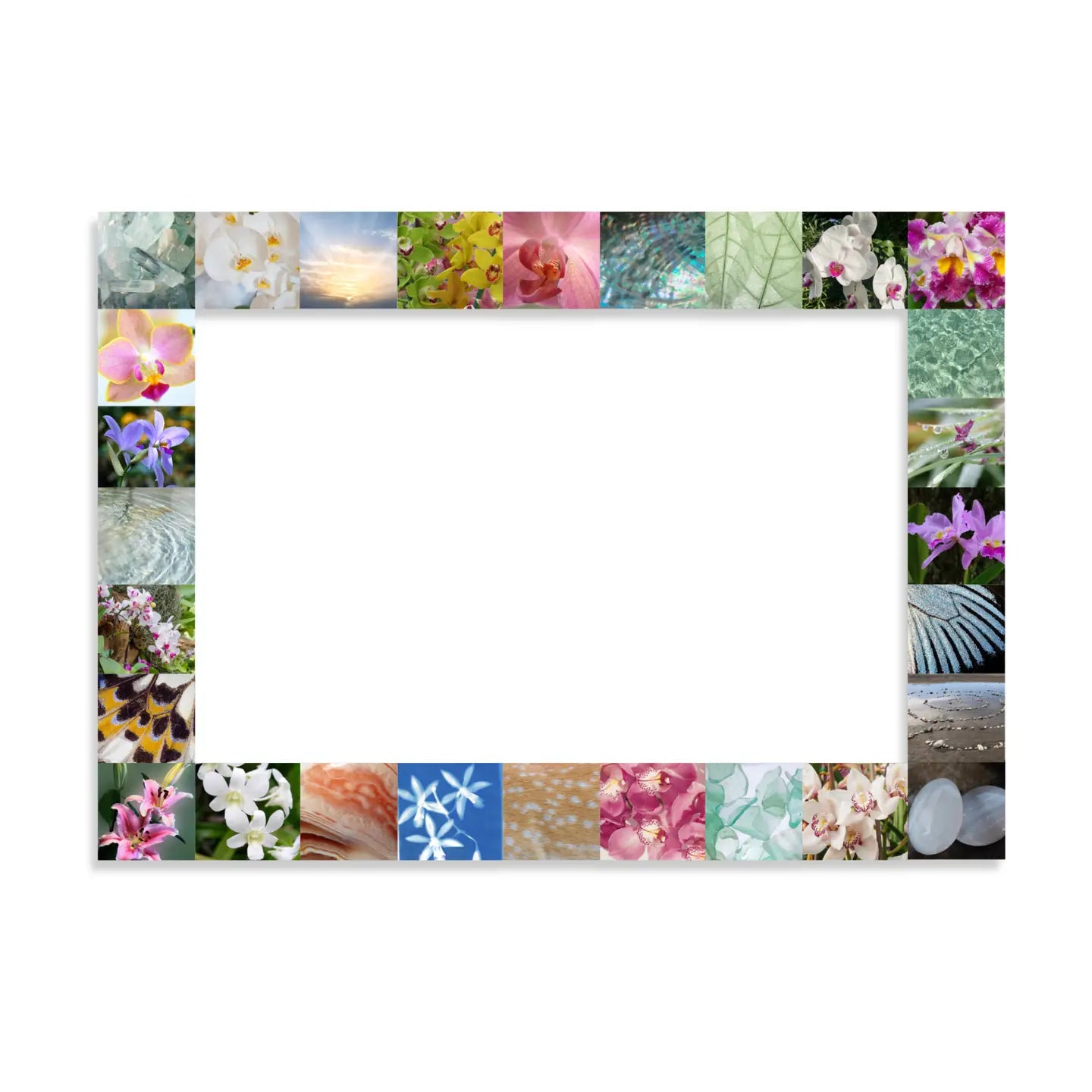 UNLUCKY WISHES SPRING ORCHID | PAPER PHOTO FRAME