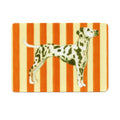 IM SO SCARED OF DALMATIANS STICKER | RAGS AF