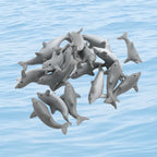 Riley Grae Lucky Dolphin Mini