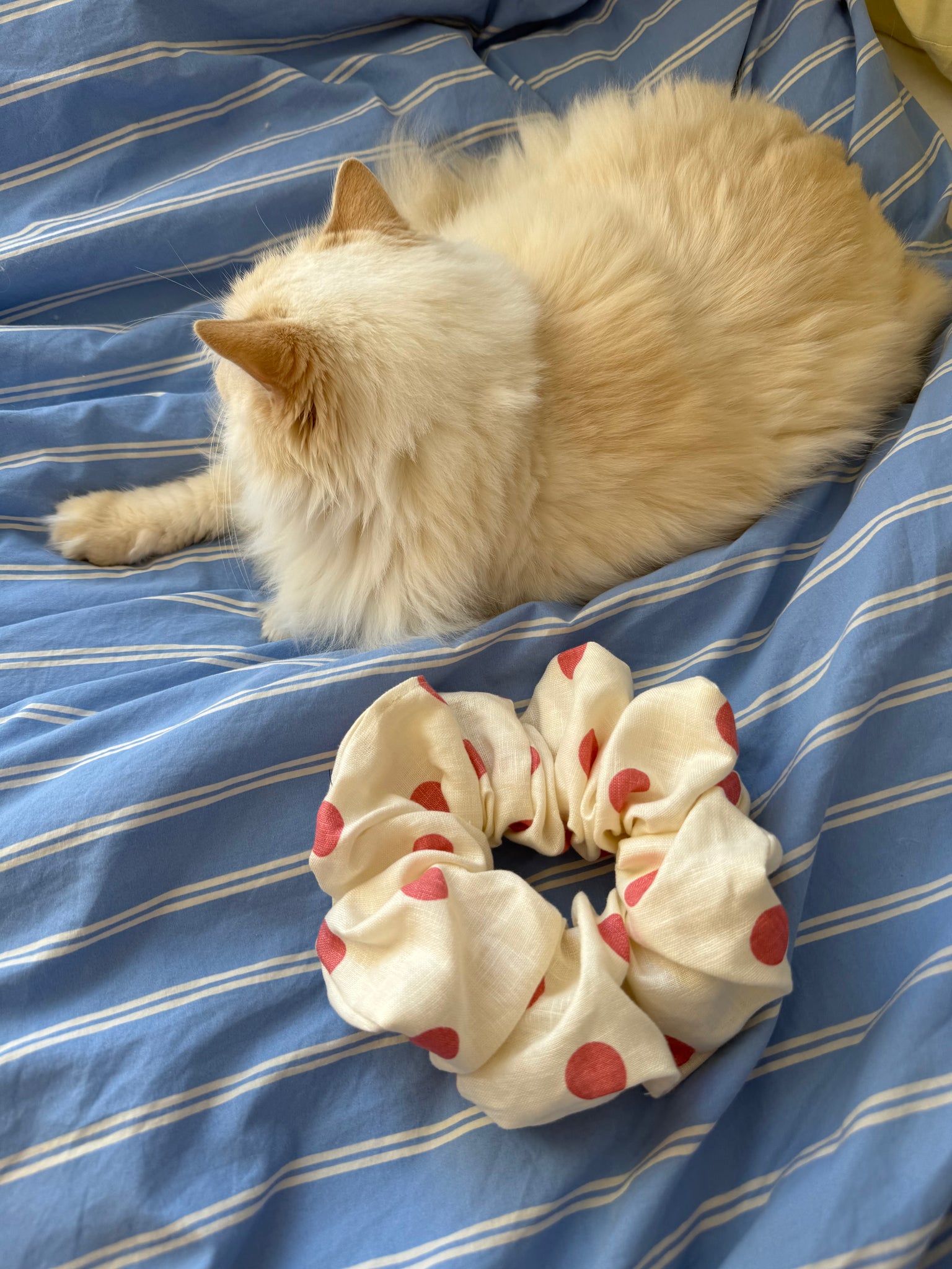 EARLY WINTER | EVERYDAY SCRUNCHIES