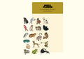 SHELLFLOWER MEDIEVAL ANIMAL STICKER SHEET