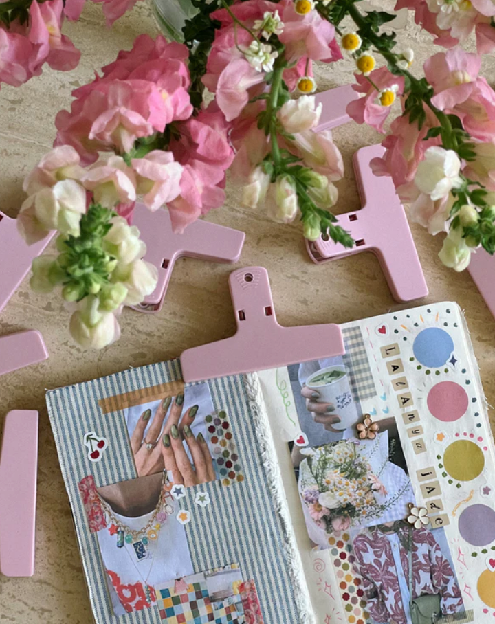 JOURNAL CLAMP | PINK