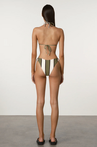 CURVE BRIEF | OLIVE STRIPE