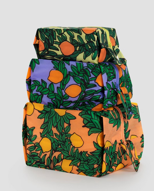 3D ZIP SET | ORANGE TREES