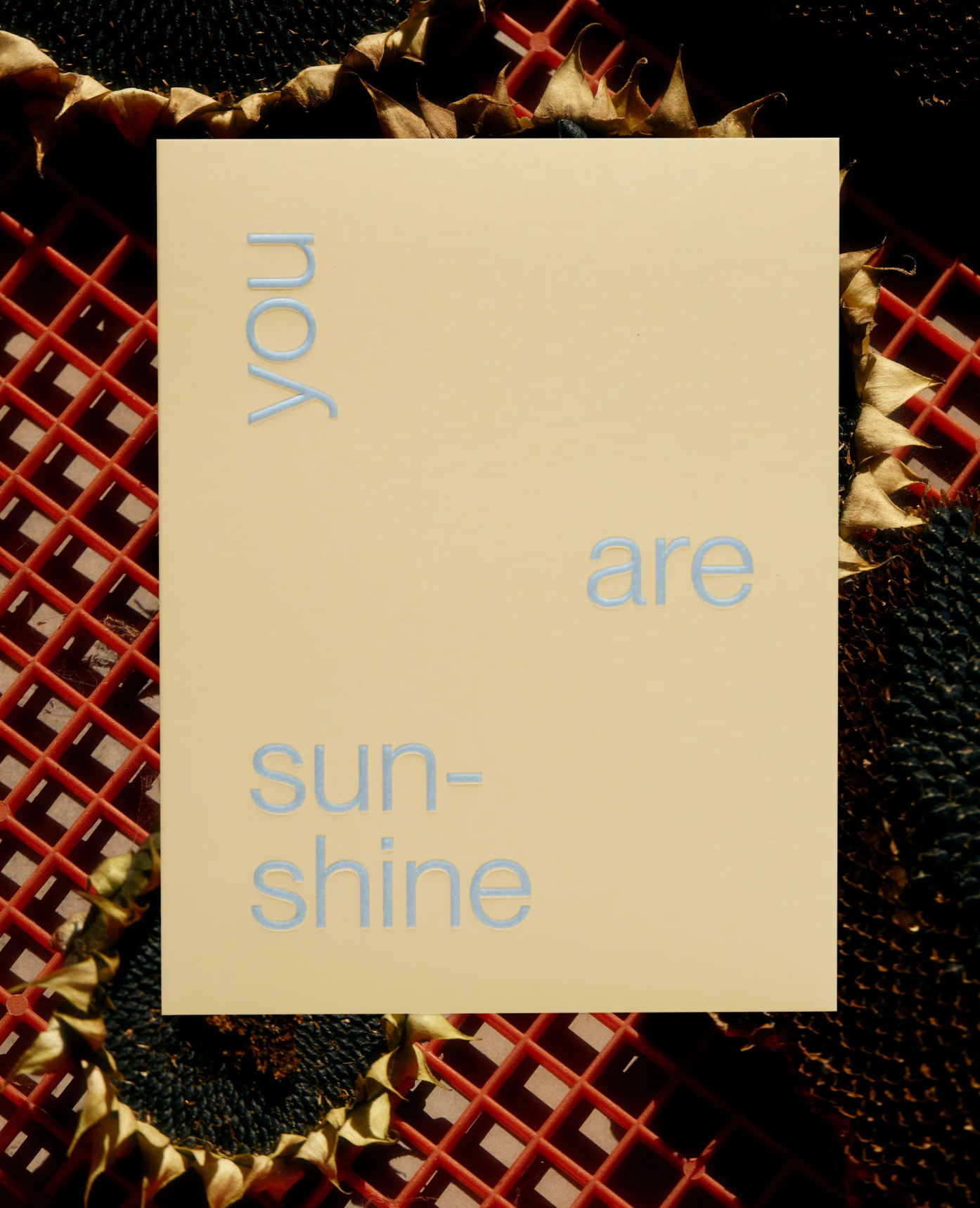 YOU ARE SUNSHINE | SHORT TALKS