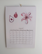 2026 A3 CALENDAR | A YEAR OF MAGIC - KEMMA