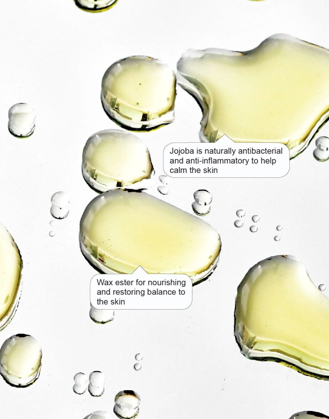 JOJOBA FACE OIL | 50ML