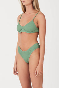 RIB CURVE BRIEF | MYRTLE