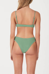 RIB CURVE BRIEF | MYRTLE