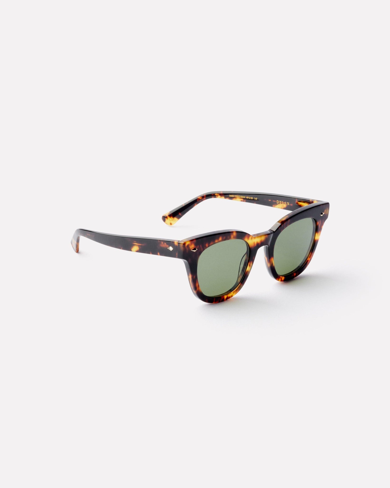 Dylan - Tortoise Polished / Green Polarized - Sunglasses - EPOKHE EYEWEAR