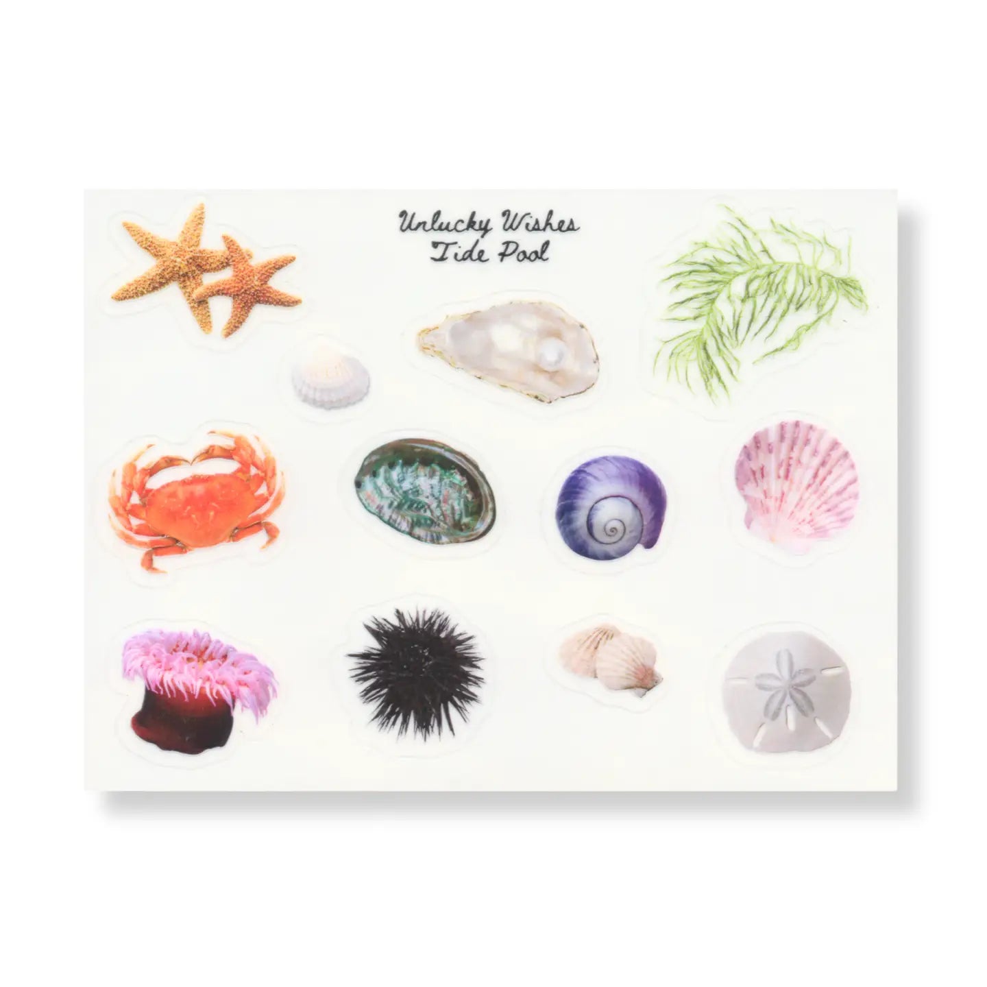 UNLUCKY WISHES TIDE POOL | STICKER SHEET