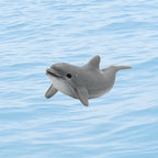 Riley Grae Lucky Dolphin Mini