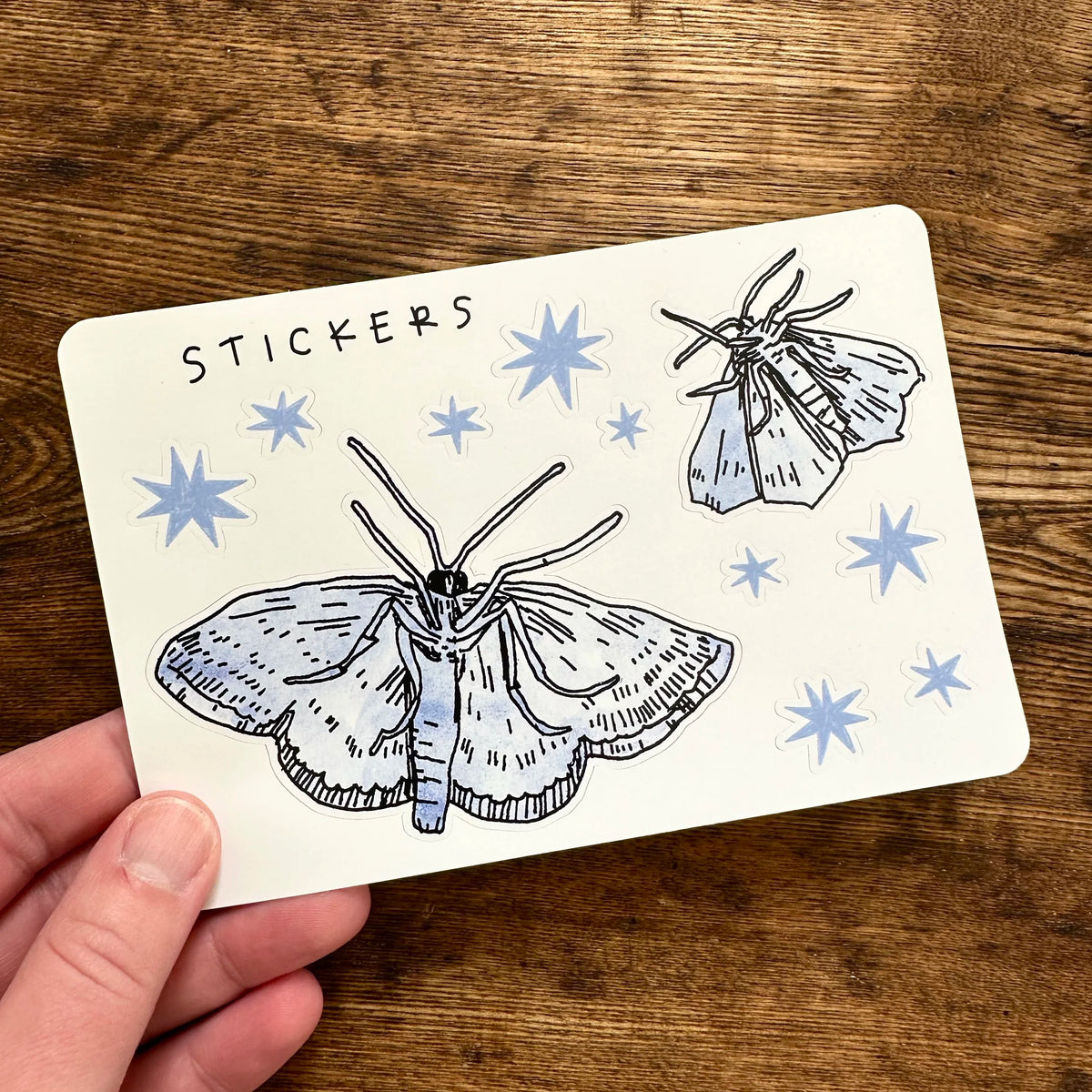 Laura K. Watson Moths & Stars Sticker Sheet