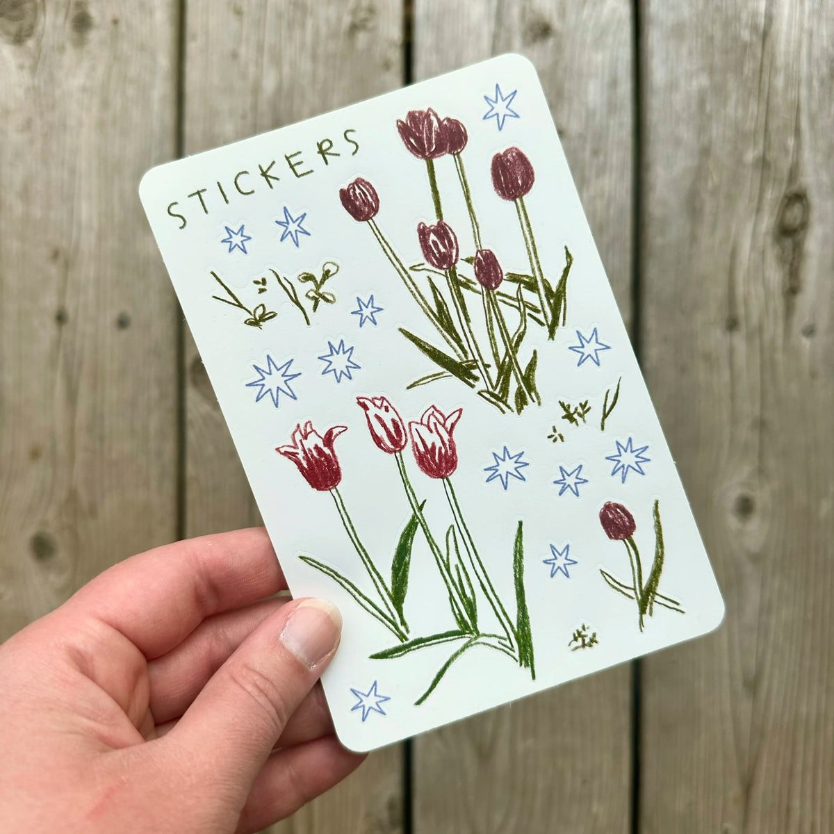 Laura K. Watson Tulips & Stars Sticker Sheet