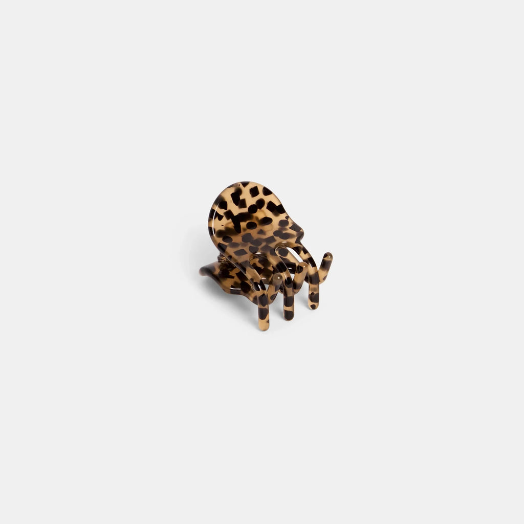 MINI CLAW | COUGAR