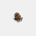 MINI CLAW | COUGAR