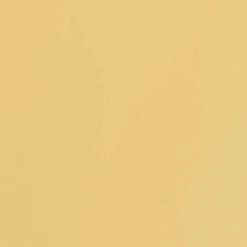 TOYO TRUNK SHAPE TOOLBOX | ITALIAN YELLOW