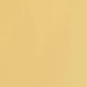 TOYO TRUNK SHAPE TOOLBOX | ITALIAN YELLOW